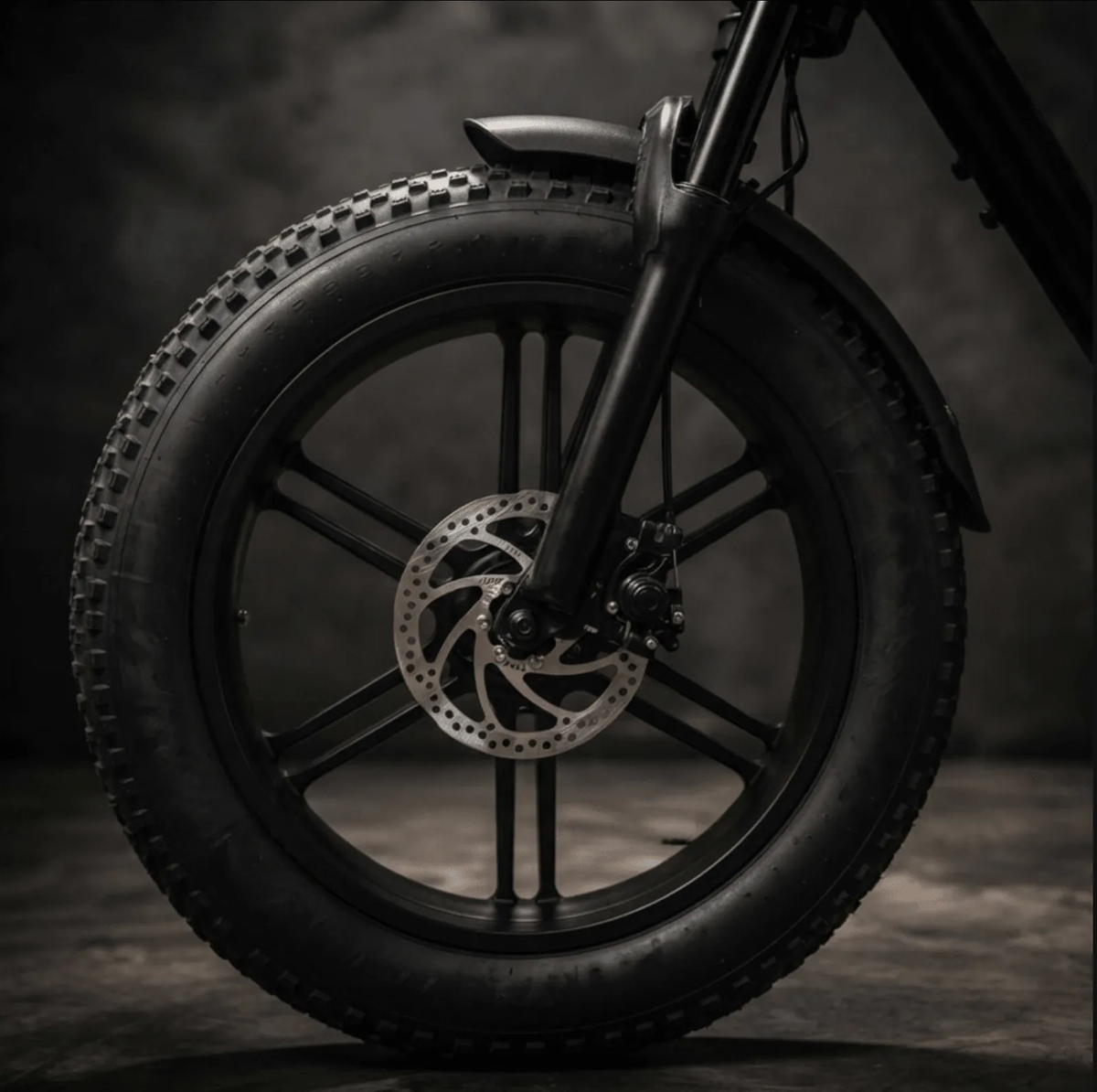 Roue Fat Bike avec frein à disque FATFISH