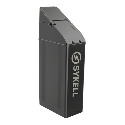 Batterie X21 MAX