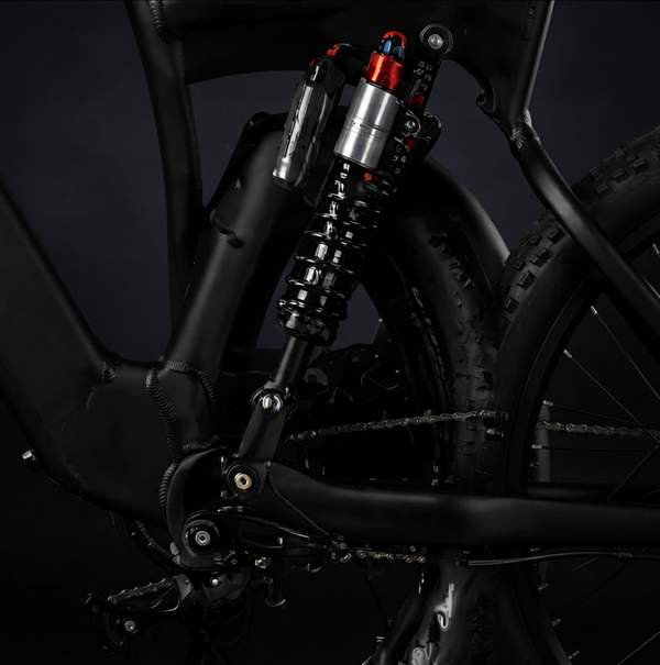 Double suspension et confort biplace