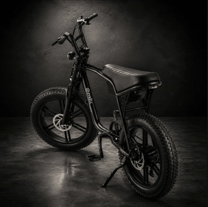 Vue arrière du vélo électrique FATFISH