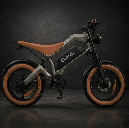 Profil du vélo électrique Fat Bike M20