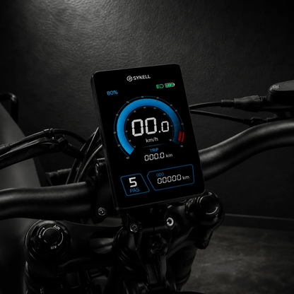 Écran TFT couleur du Sykell R19